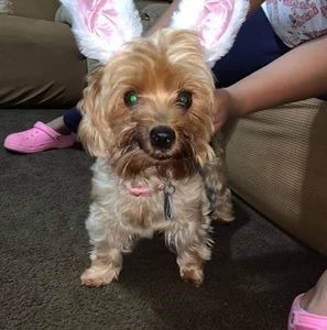 Meet your Posher, Lovely